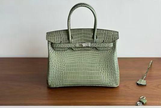 Birk*n 35 Diamond Porosus Crocodile Bag