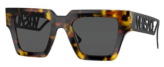 Vers*ce VE4431 Sunglasses